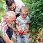 generations fatherhood sons grandfather