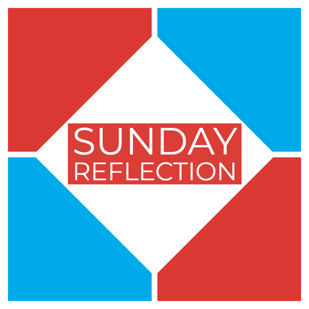Sunday Reflection