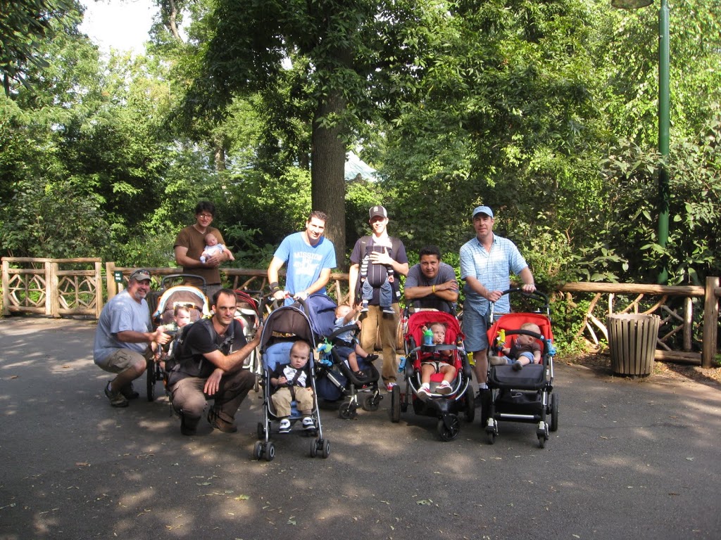 strollers at Bronx Zoo