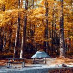 autumn camping tent