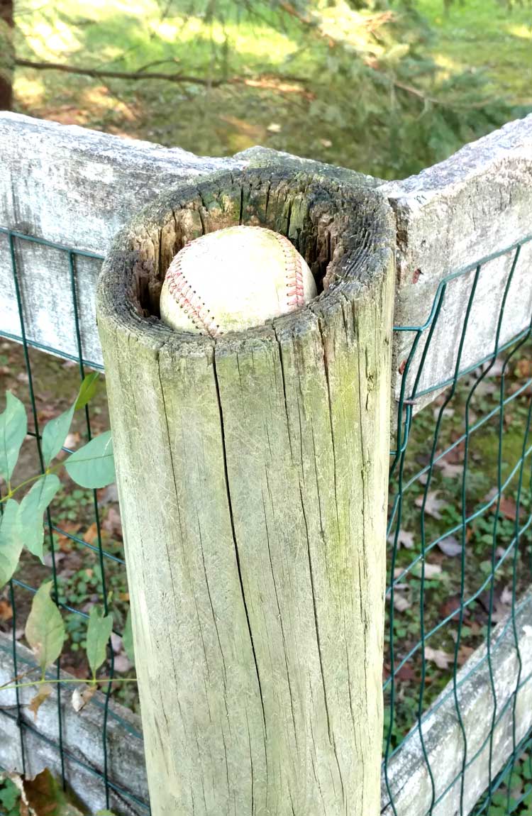 baseball in fence post