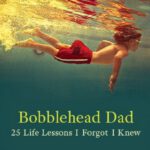 bobblehead dad 25 lessons i forgot i knew book jim higley