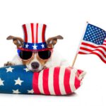fourth of july dad jokes dog patriotic flag