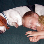 get a dog boy beagle napping