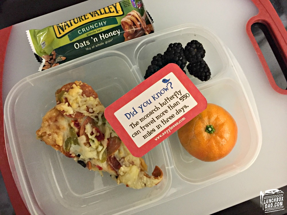 lunchbox dad is human lunch