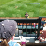 girl playing catch mets