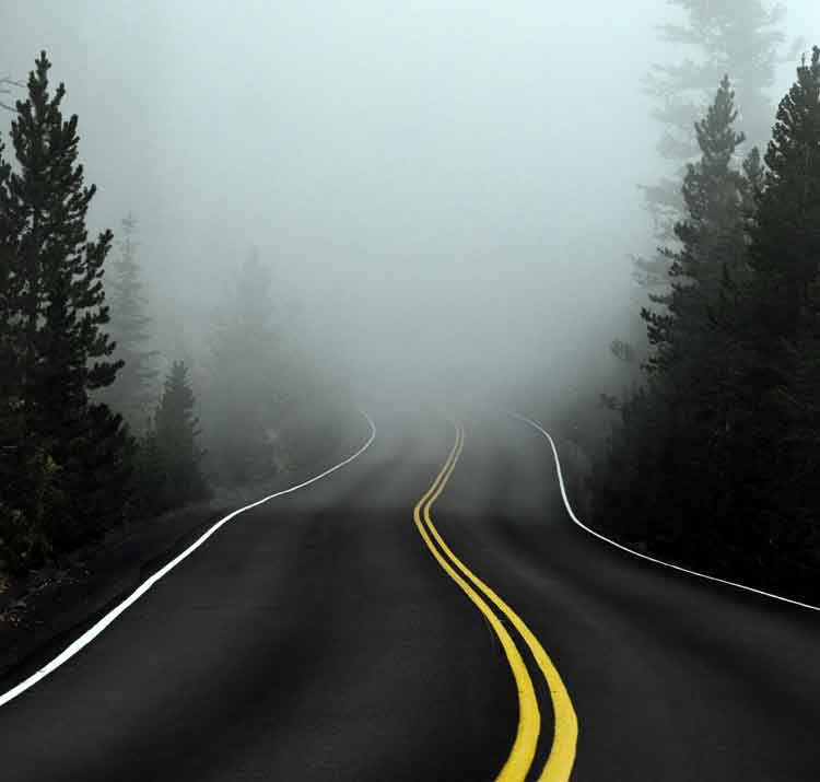 foggy road through forest driving mist