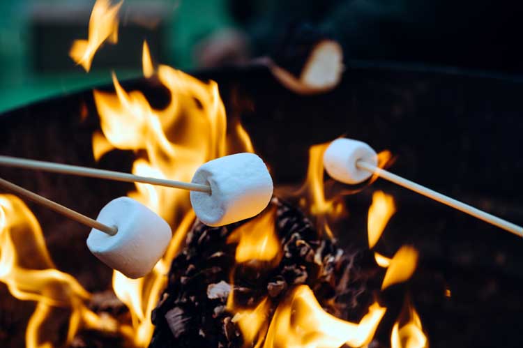 roasting marshmallows over camp fire